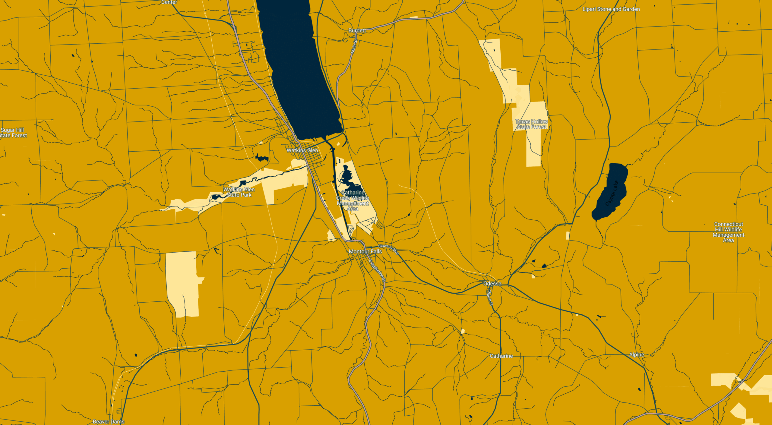 finger lakes region map in goldenrod and blue