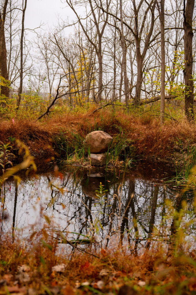 tea pavilion pond in fall
